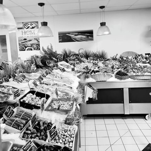 Bredouille Bredouille